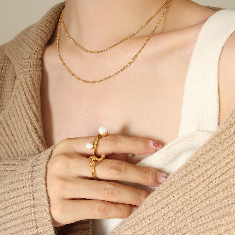 Titanium steel double-layer flat snake bone necklace female cold wind light luxury collarbone chain simple personality temperament trend neck chain pp