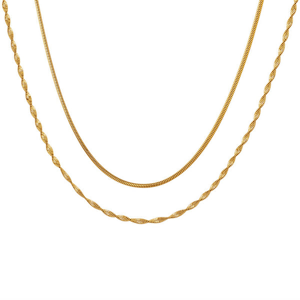 Titanium steel double-layer flat snake bone necklace female cold wind light luxury collarbone chain simple personality temperament trend neck chain pp