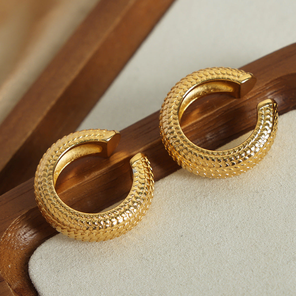 New Versatile Personality Fashion Simple Titanium Steel Gold Plated Scales Geometric Earrings Earrings Jewelry Women