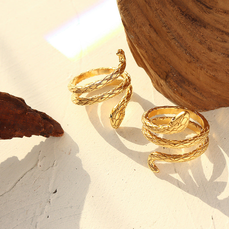 Cold wind surrounds serpentine ring women do not fade cold trendy personalized titanium steel ring hand jewelry A132