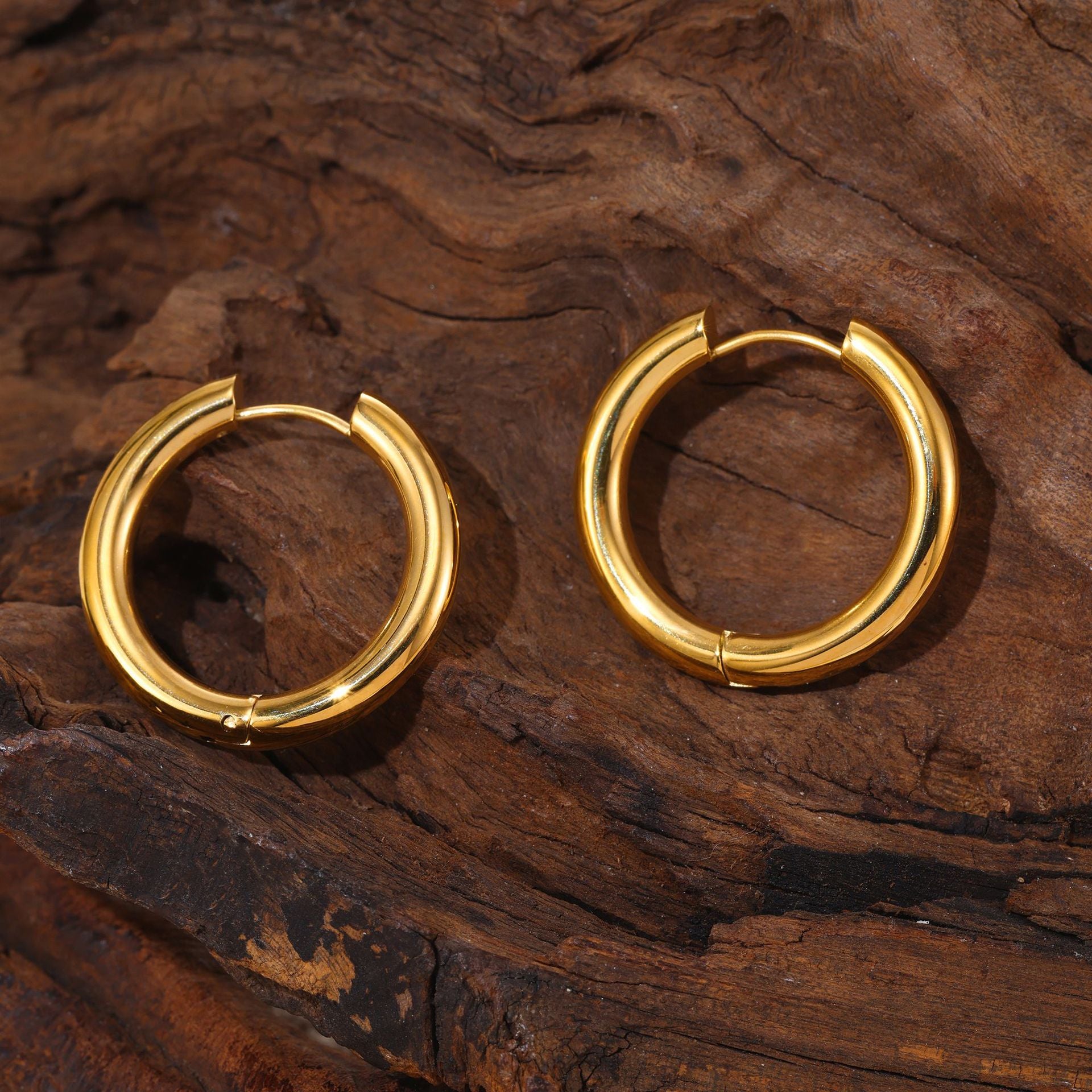 Stainless steel niche personality temperament versatile earrings fashion light luxury ear buckle plated 18k real gold jewelry women 99