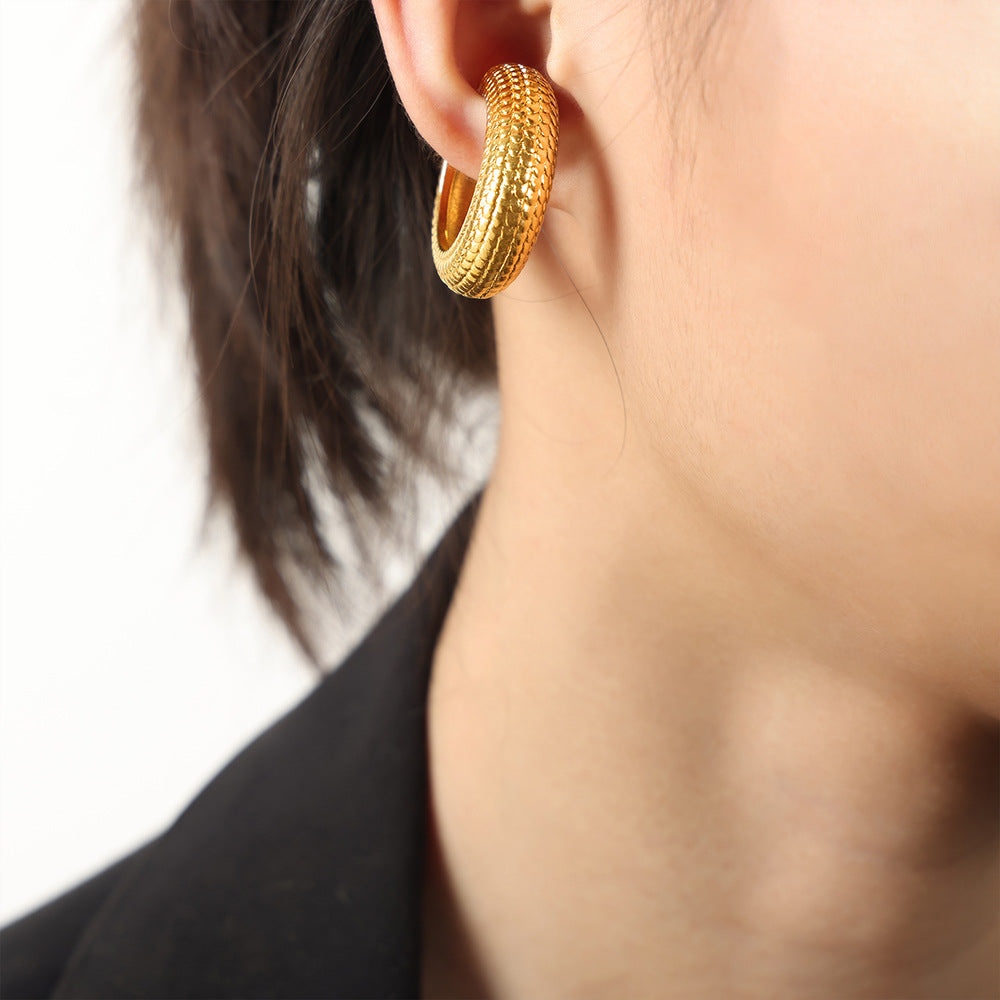 New Versatile Personality Fashion Simple Titanium Steel Gold Plated Scales Geometric Earrings Earrings Jewelry Women