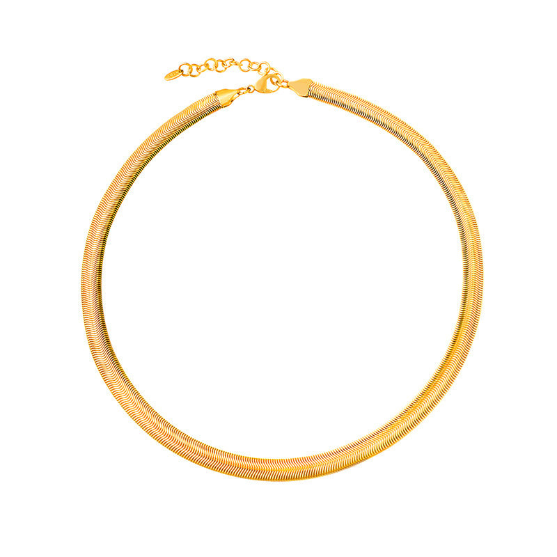 New fashion high sense light luxury cold wind titanium steel snake bone chain women's necklace simple niche jewelry pp