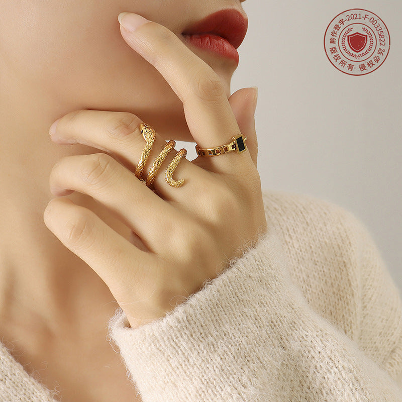 Cold wind surrounds serpentine ring women do not fade cold trendy personalized titanium steel ring hand jewelry A132