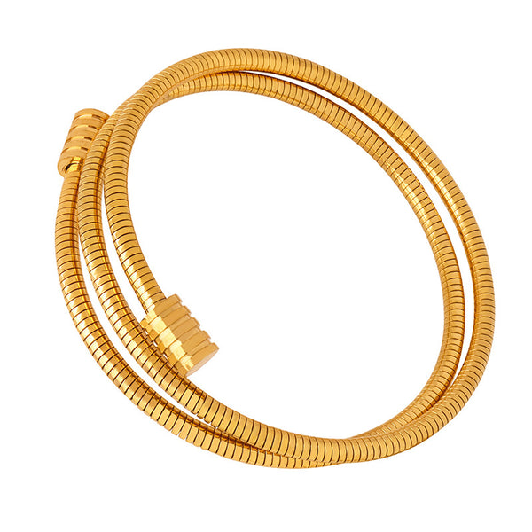 Personality niche simple snake bone chain multi-layer stacking fashion versatile titanium steel gold-plated bracelet jewelry women