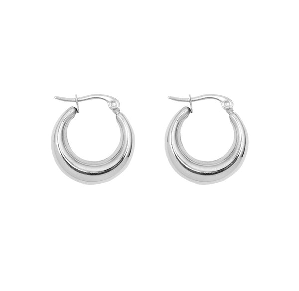 Earrings set plain ring halo scales horn bag titanium steel 18k gold earrings ins jewelry pp